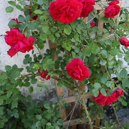 Unnerm Keeshawwe * Gossersweiler-Stein