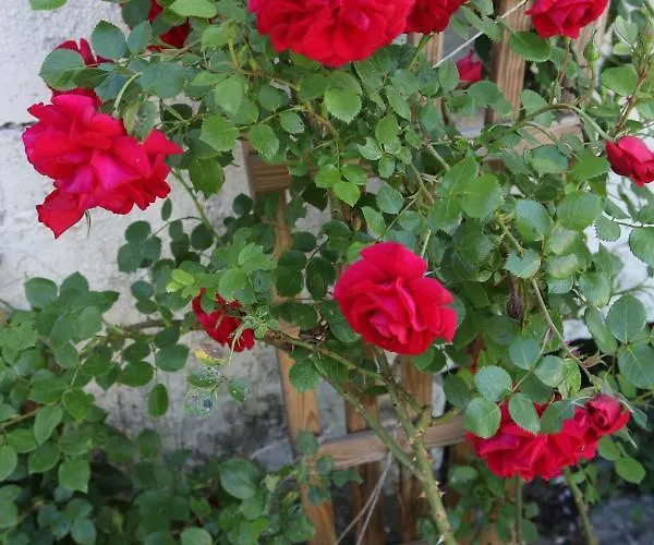 Unnerm Keeshawwe * Gossersweiler-Stein